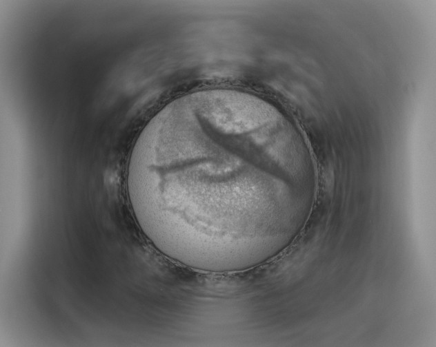 X0000115851254200911201606