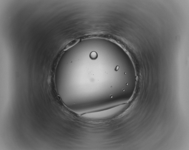 X0000115851257200911201606