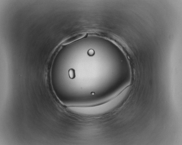 X0000115851260200911201606