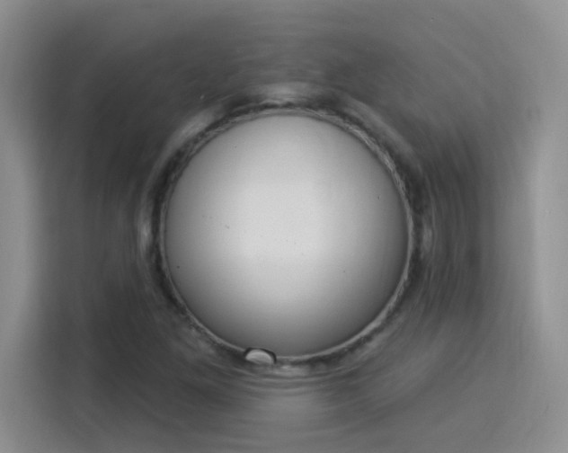 X0000115851261200911201606