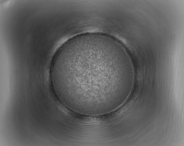X0000115851263200911201606