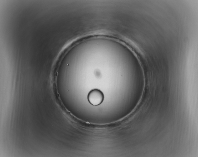 X0000115851264200911201606