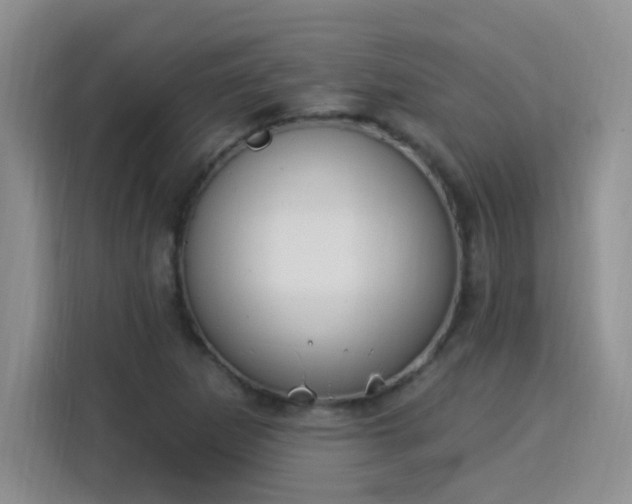 X0000115851265200911201606