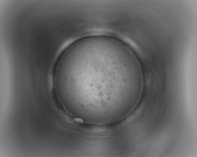 X0000115851267200911201606