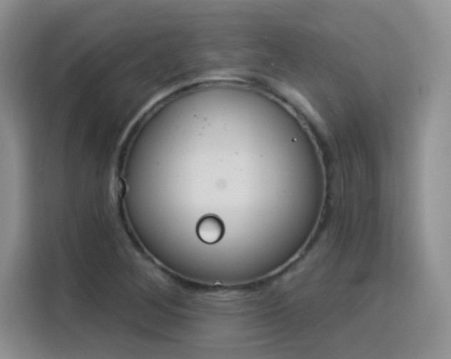X0000115851268200911201606