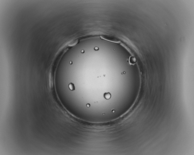 X0000115851269200911201606