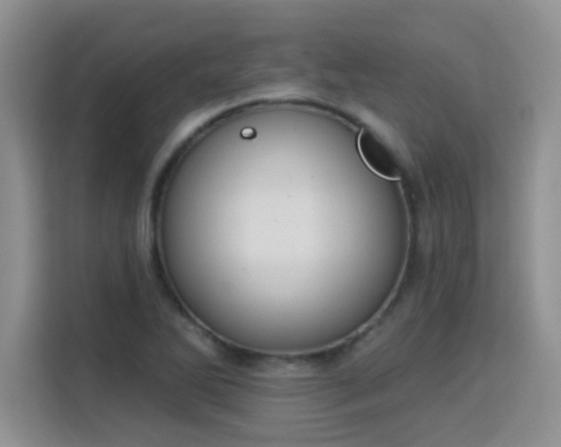 X0000115851270200911201606