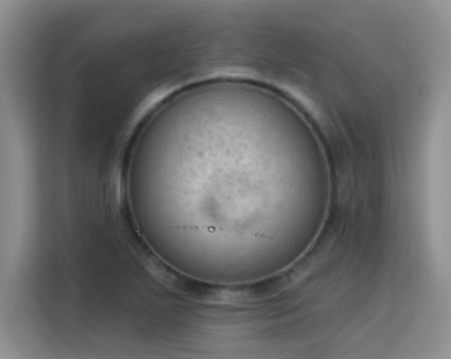 X0000115851271200911201606