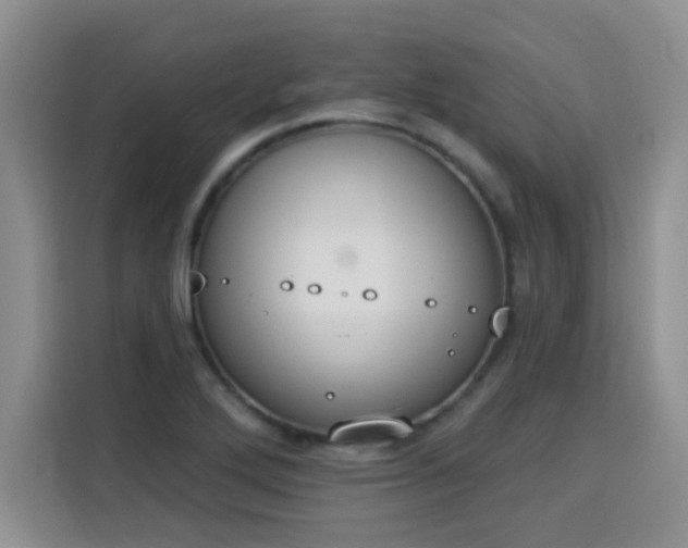 X0000115851272200911201606