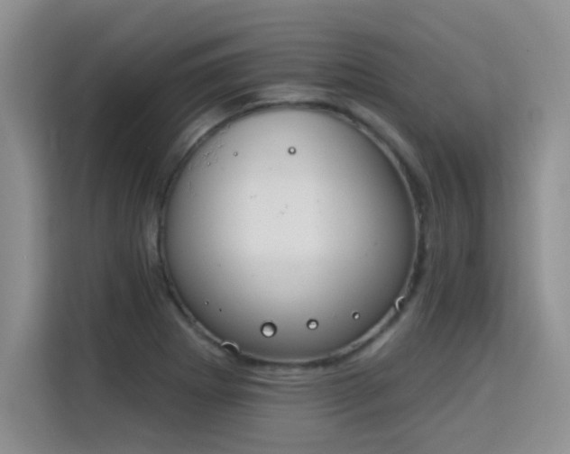 X0000115851273200911201606