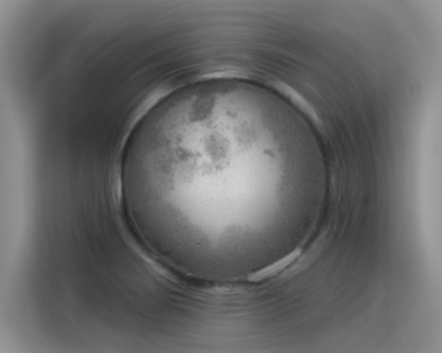 X0000115851274200911201606