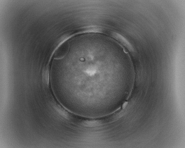 X0000115851276200911201606