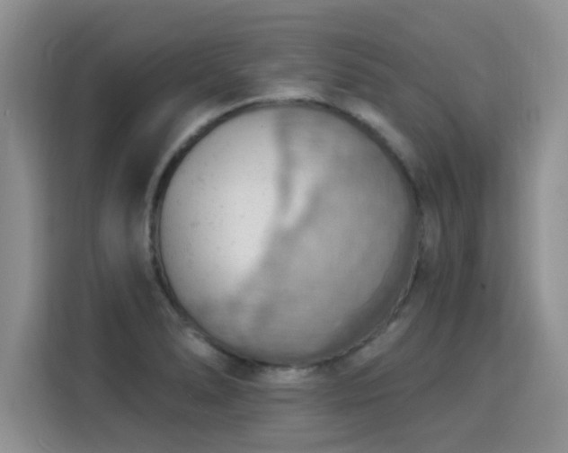 X0000115851278200911201606