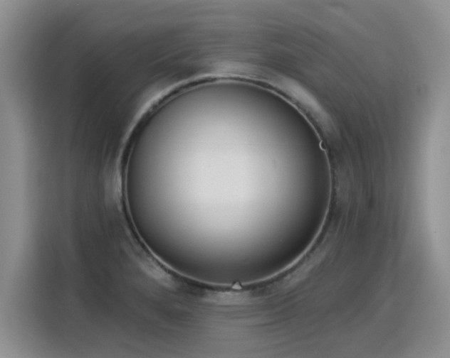 X0000115851280200911201606