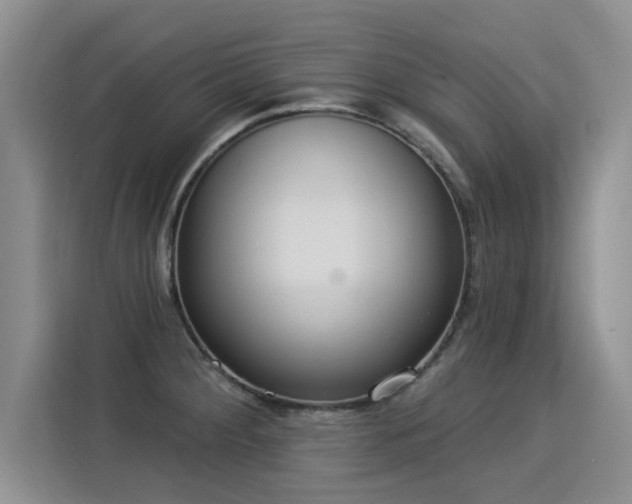 X0000115851284200911201606
