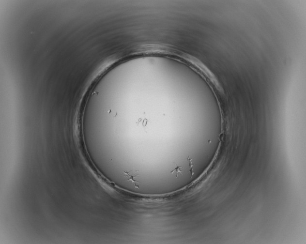 X0000115851285200911201606