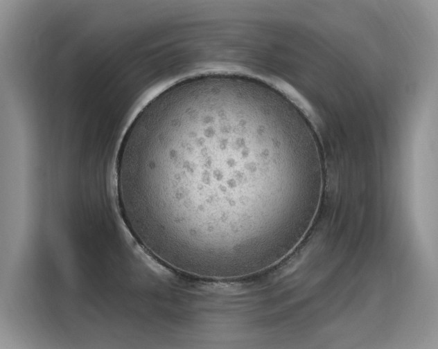 X0000115851287200911201606