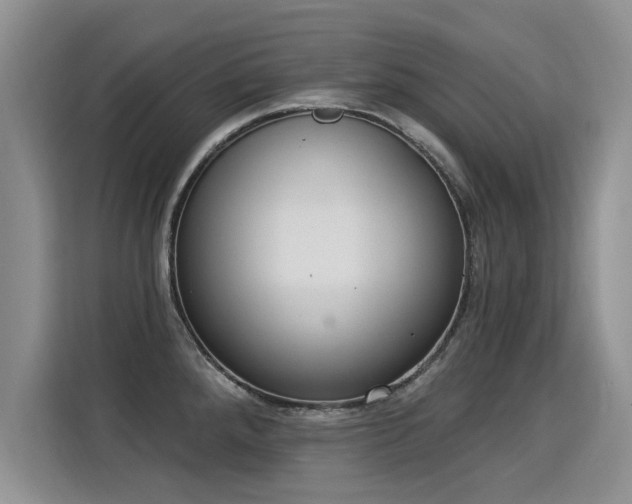 X0000115851288200911201606