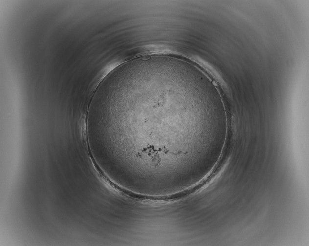 X0000115851289200911201606