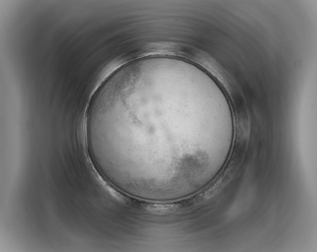 X0000115851290200911201606