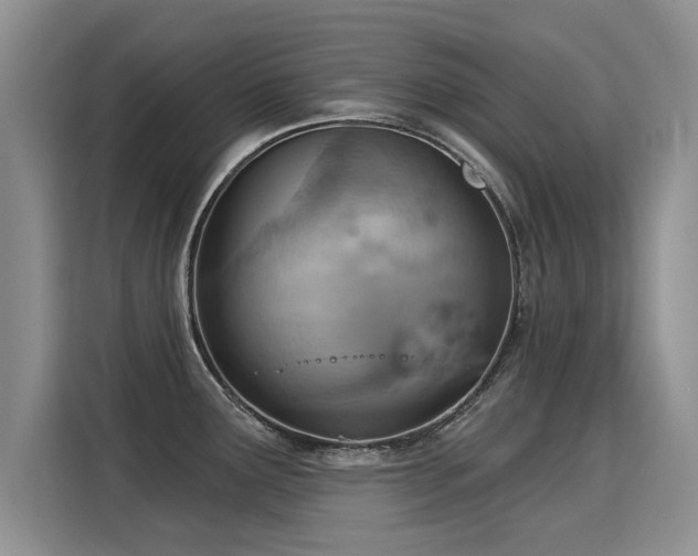 X0000115851291200911201606