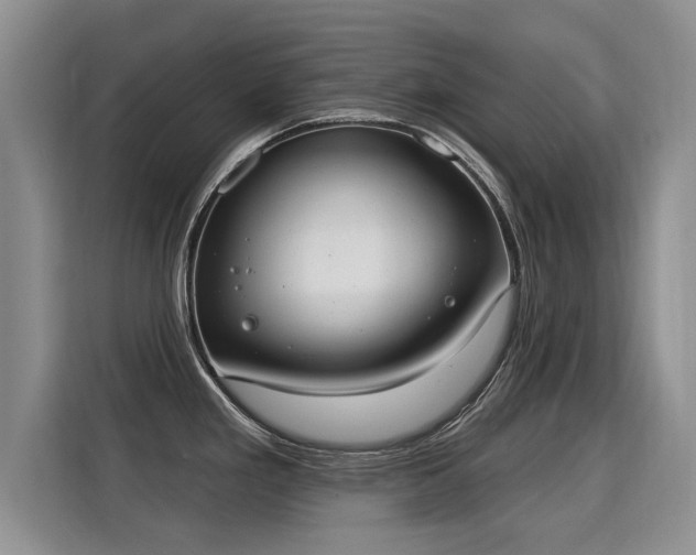 X0000115851293200911201606