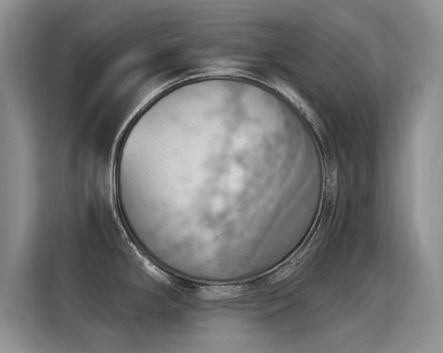 X0000115851294200911201606