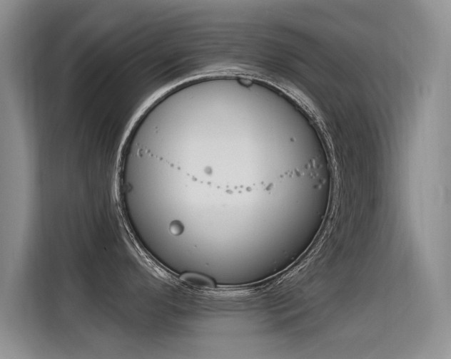 X0000115851296200911201606