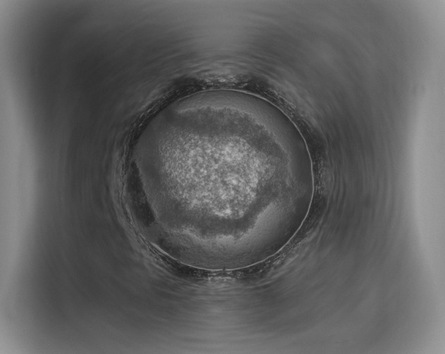 X0000115851297200911201605