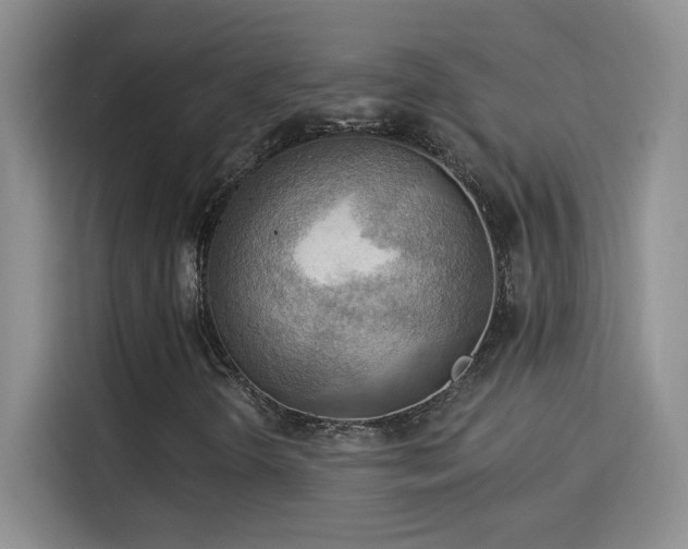 X0000115851298200911201605