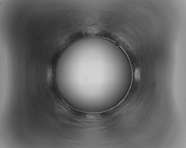 X0000115851299200911201605