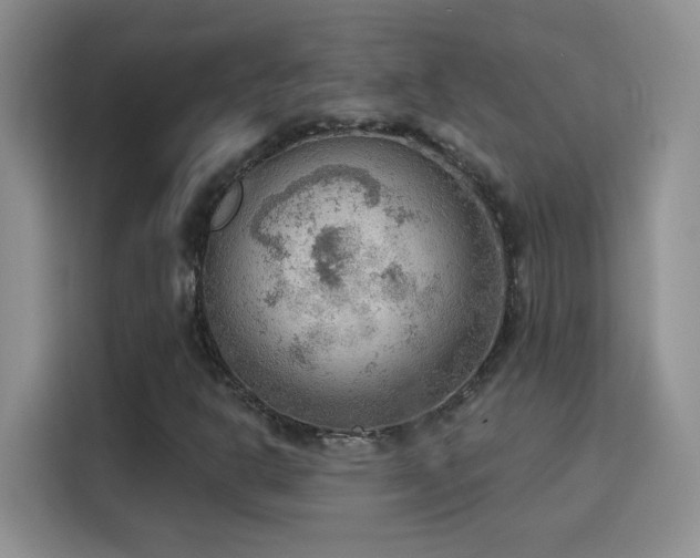 X0000115851302200911201605