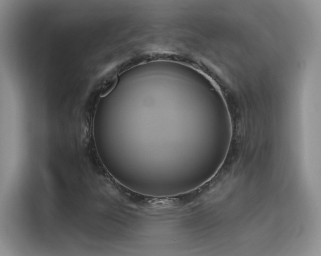 X0000115851303200911201605