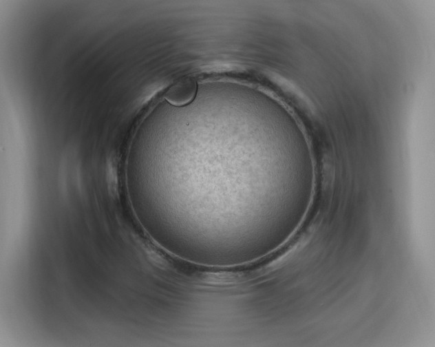 X0000115851305200911201605
