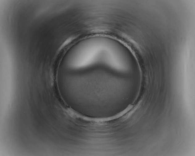X0000115851306200911201605