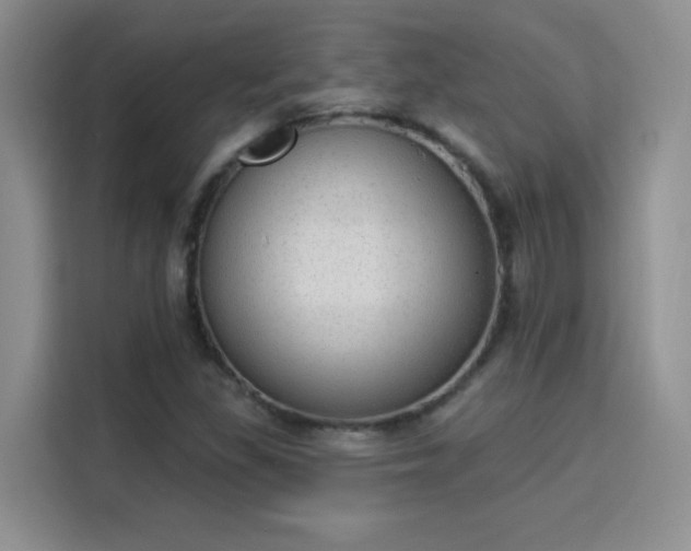 X0000115851309200911201605