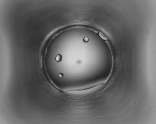 X0000115851310200911201605