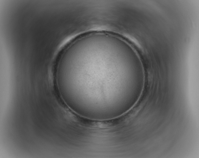 X0000115851311200911201605