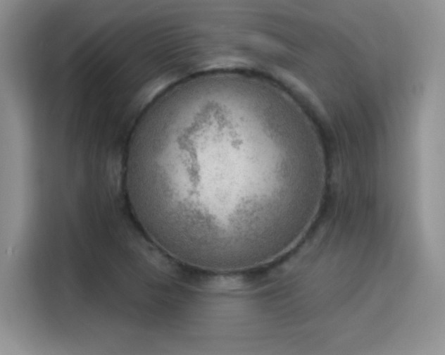 X0000115851313200911201605