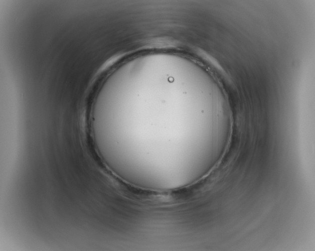 X0000115851315200911201605