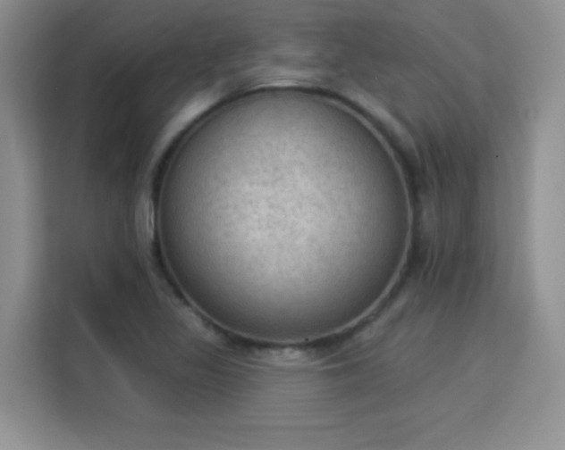 X0000115851317200911201605