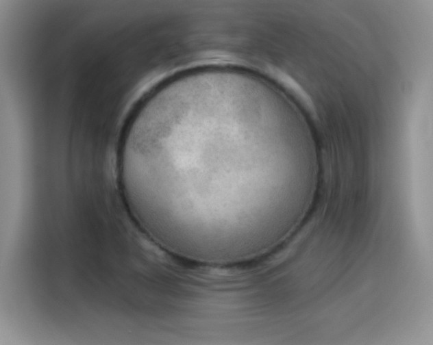 X0000115851318200911201605