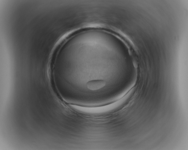 X0000115851319200911201605
