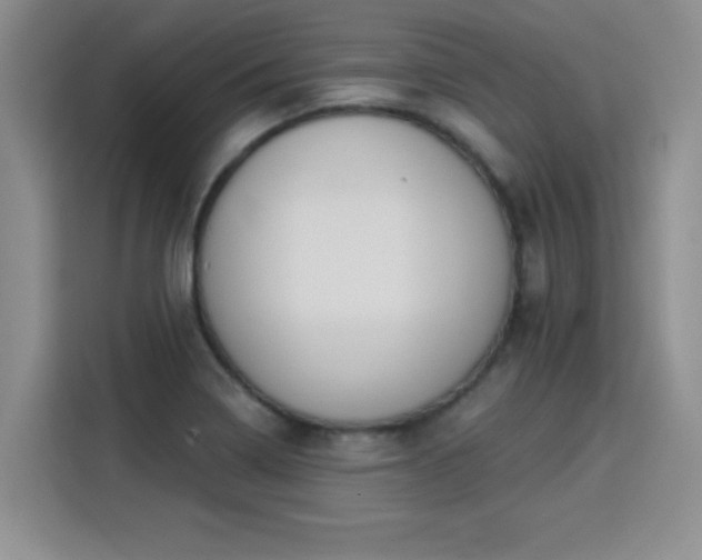 X0000115851322200911201605