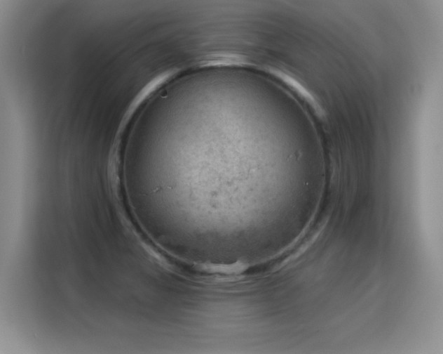 X0000115851325200911201605