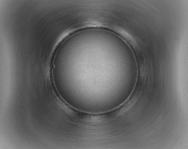 X0000115851326200911201605