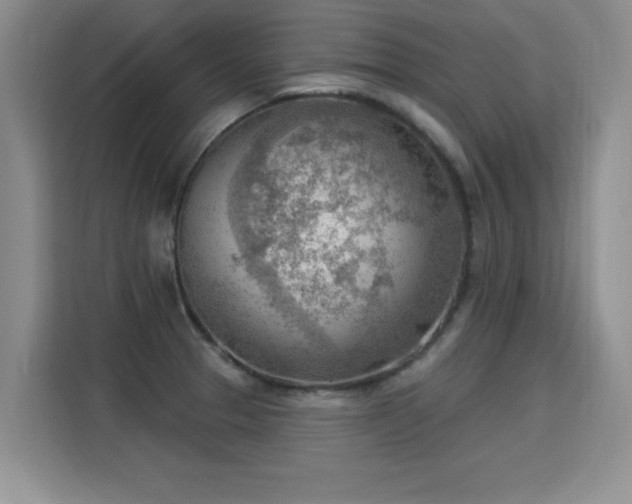 X0000115851329200911201605