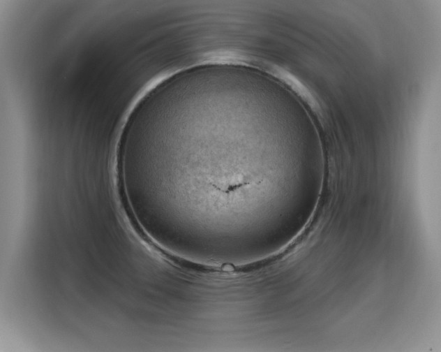 X0000115851331200911201605