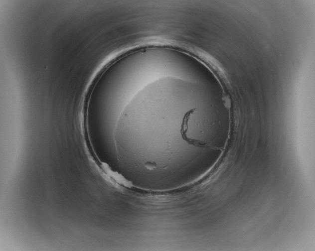 X0000115851334200911201605