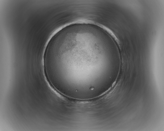 X0000115851335200911201605